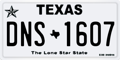 TX license plate DNS1607