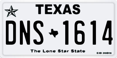TX license plate DNS1614