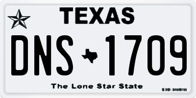 TX license plate DNS1709