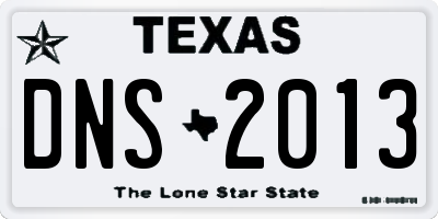 TX license plate DNS2013