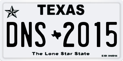 TX license plate DNS2015