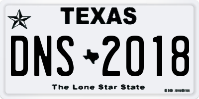 TX license plate DNS2018