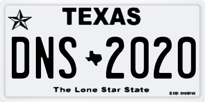 TX license plate DNS2020