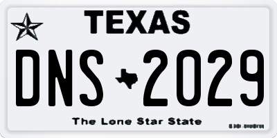TX license plate DNS2029