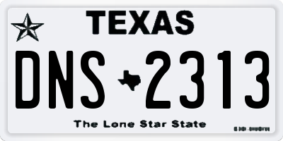 TX license plate DNS2313