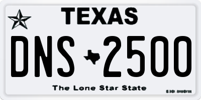 TX license plate DNS2500