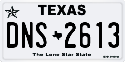 TX license plate DNS2613