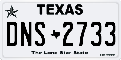 TX license plate DNS2733
