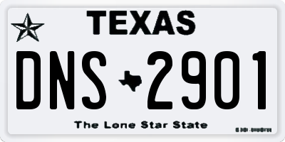 TX license plate DNS2901