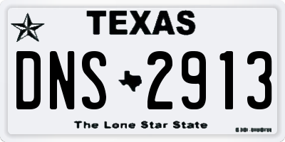 TX license plate DNS2913