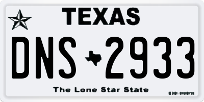 TX license plate DNS2933