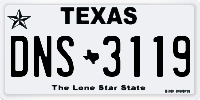 TX license plate DNS3119