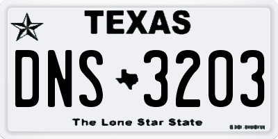TX license plate DNS3203