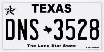 TX license plate DNS3528