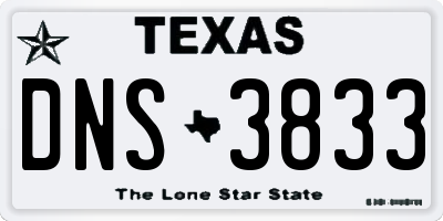 TX license plate DNS3833