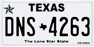 TX license plate DNS4263