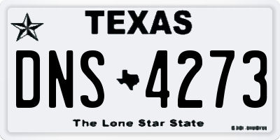 TX license plate DNS4273