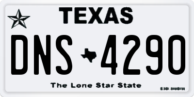 TX license plate DNS4290