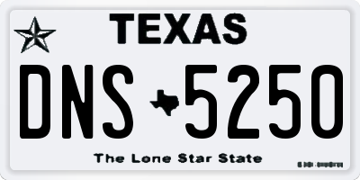 TX license plate DNS5250