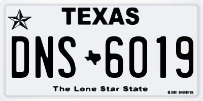 TX license plate DNS6019