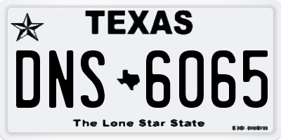 TX license plate DNS6065