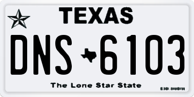 TX license plate DNS6103