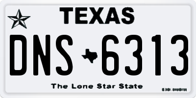 TX license plate DNS6313