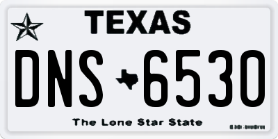 TX license plate DNS6530