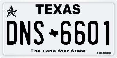 TX license plate DNS6601