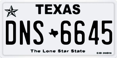 TX license plate DNS6645