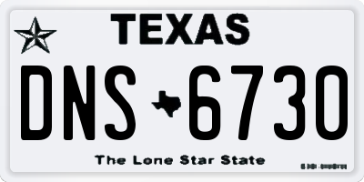 TX license plate DNS6730
