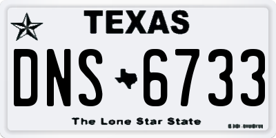 TX license plate DNS6733