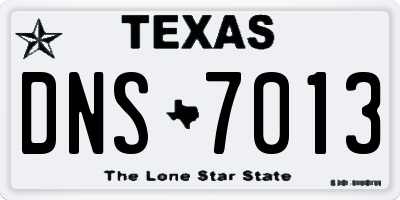 TX license plate DNS7013
