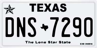 TX license plate DNS7290