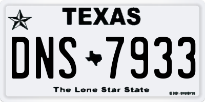 TX license plate DNS7933