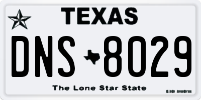 TX license plate DNS8029