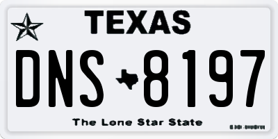 TX license plate DNS8197