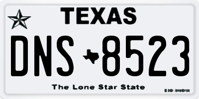 TX license plate DNS8523