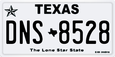 TX license plate DNS8528