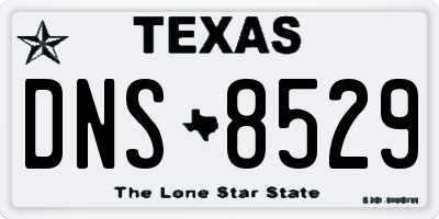 TX license plate DNS8529