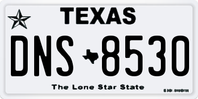 TX license plate DNS8530