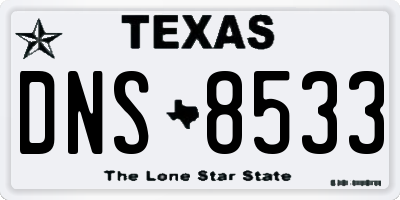 TX license plate DNS8533