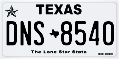 TX license plate DNS8540