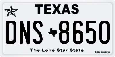 TX license plate DNS8650