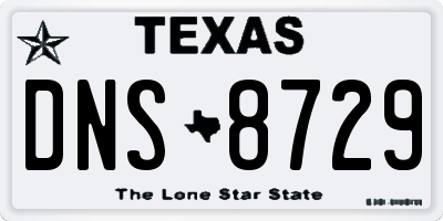 TX license plate DNS8729