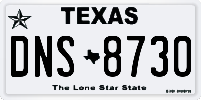 TX license plate DNS8730