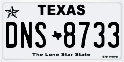TX license plate DNS8733