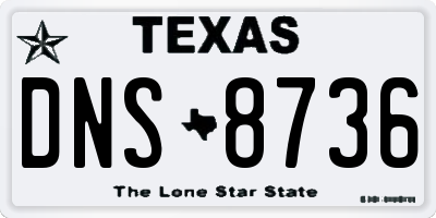 TX license plate DNS8736