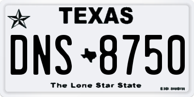 TX license plate DNS8750