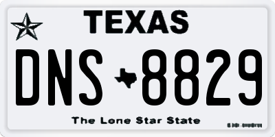 TX license plate DNS8829